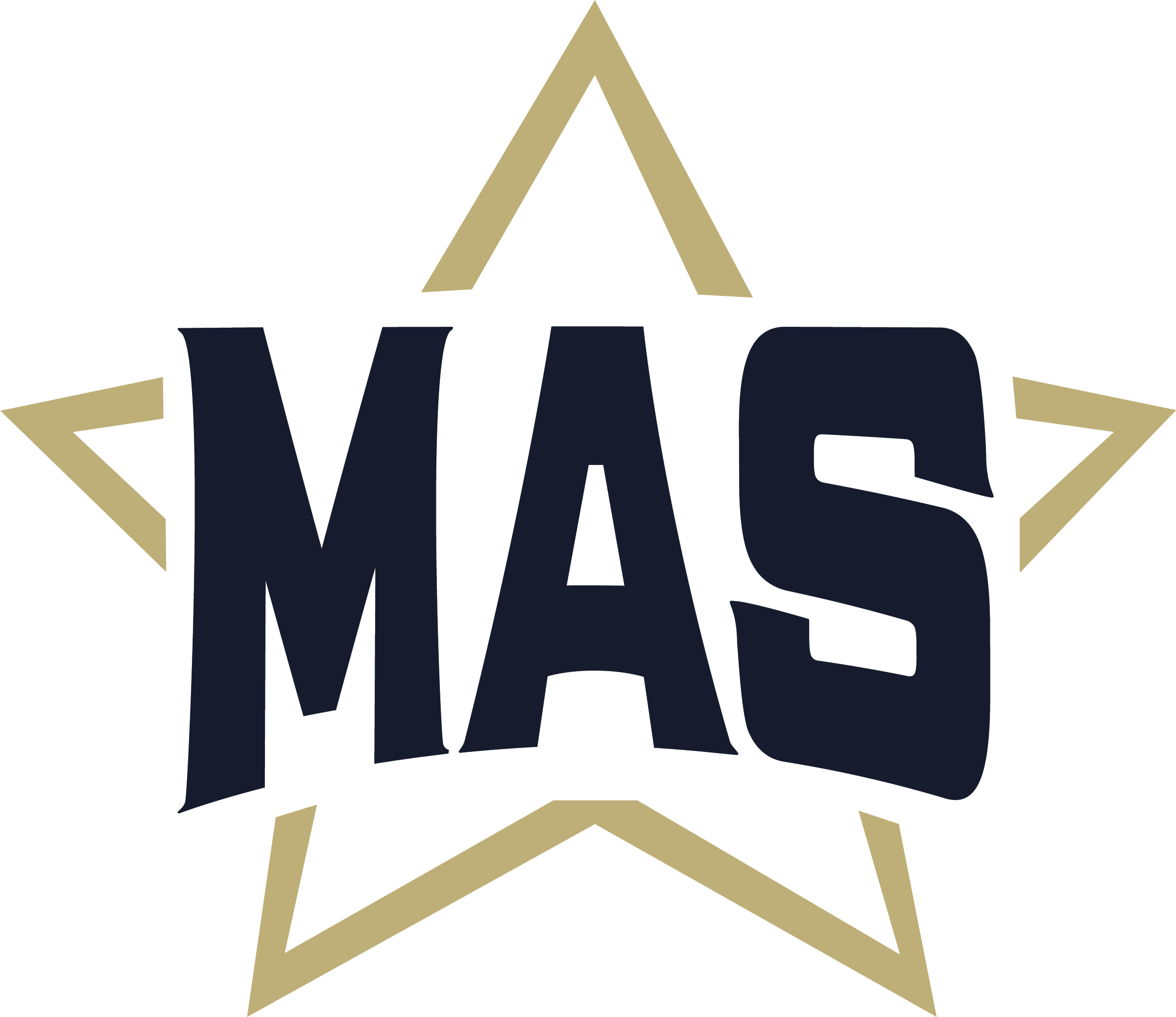 MAS-In-Navy (1)